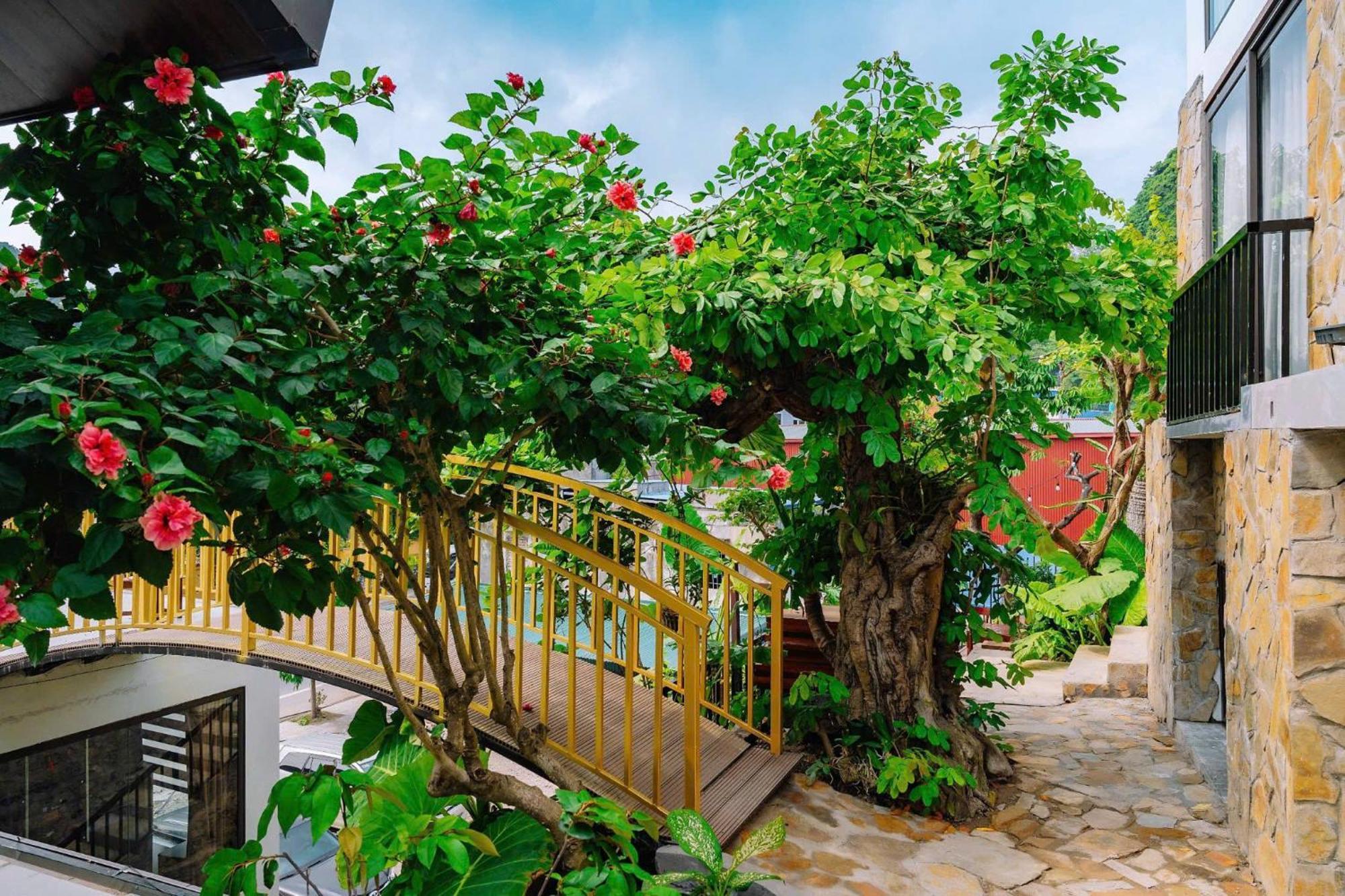 Ecorest Villa Cat Ba Chan Chau Buitenkant foto